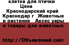 клетка для птички › Цена ­ 200 - Краснодарский край, Краснодар г. Животные и растения » Аксесcуары и товары для животных   